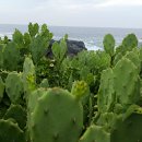 난향동-8 이미지