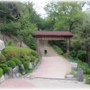 한국체대 태권도장 이미지