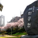 부산의 봄 축제ㅡ온천천 시민공원 벚꽃축제 이미지