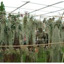 중식조리사자격증 이미지