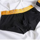 할리데이 이미지