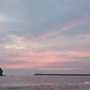 위드안면도 이미지