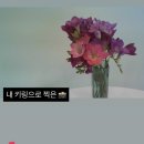 별 일 없는, 무탈한 하루하루 / 슬로우딕트팩 후기, 데일리룩 ♥