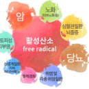 노화약국 이미지