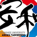 동탄용인대국가대표태권도 이미지
