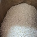 신동진 - 철원군 이평2로10번길 40 | [광고]한음미가 신동진쌀 특등급 10kg 후기, 밥맛이 달라졌어요