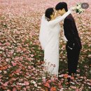 셀프웨딩촬영 고민끝에 스드메 계약(feat.웨딩스냅 어나더희우)