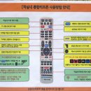 토마토무인텔 | [ 예산무인텔 ] 예당호숙소 오렌지토마토무인텔