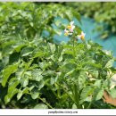 주렴농장 이미지