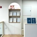 빌리프독 킨더가든 이미지