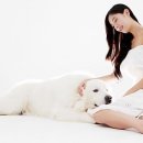 클라라 애견 이미지