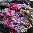 용와산성 이미지