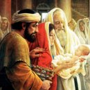 누가복음 2장 1절~20절, 예수 그리스도 탄생, 유아 시절, 성탄절은 언제? 이미지