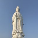 영흥사 | 다낭 영흥사 관람 후기! 원숭이까지 만난 다낭 사원 여행영흥사