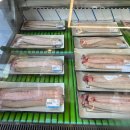 장어의꿈 이미지