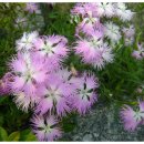 광장35호 이미지