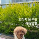 뚱땅뚱땅 이미지