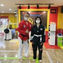 성실태권도 체육관 이미지