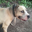 승리농장 이미지