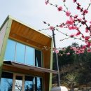 다솜펜션A 이미지