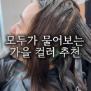 진앤어스 - 안동시 경북대로 426 | 진앤어스