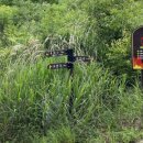 성불사지 석불입상 이미지