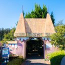 미로월드 이미지