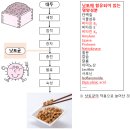 발효의 책 15 원료인 콩 이상으로 영양이 풍부하게 하는 낫토균 이미지