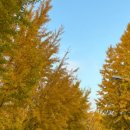 쌍이리귀바위 이미지