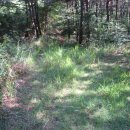 영창삼거리 이미지