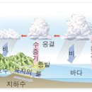 후쿠시마 오염수 방류되면 여시들 어떻게 대처할 건지 얘기해보자! 이미지