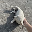 조성역 | 0804 : 여름의 보성 🌿 _ 주월산 패러글라이딩