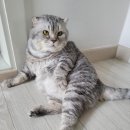 칸헤어 - 창원시 성산구 사파동 | 칸헤어