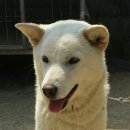 신기