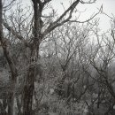 학운초교 이미지