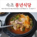 속초 아침식사 맛집 풍년식당 오징어해장국 국물이 예술 (feat. 속초 먹거리 내돈내산)