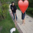 해피독반려견방문교육 이미지