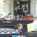 (주)비글