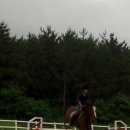 임자중학교 이미지