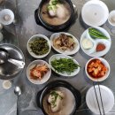 낙모정 | 초복맞이 진주 삼계탕 백숙 맛집 best 8