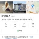 DAELIM | [전시] 경복궁 전시 추천 | 대림미술관 전시 | 페트라 콜린스: fangirl 전시 후기