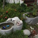 올가 펜션 이미지