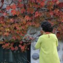 일성농장 이미지