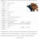 러브펫종합동물병원 이미지