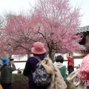 통도사로 이미지