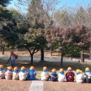 강원도립화목원 이미지