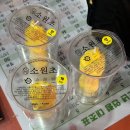 군도9호 | 봉은사 홍매화 개화 상황｜관악산만큼 정기 좋은 사찰, 서울 기도명소