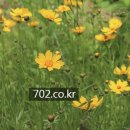 야곱축사 이미지