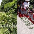 외간초등학교 (주)거제타임즈