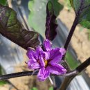 한마음 한뜻 농장 이미지